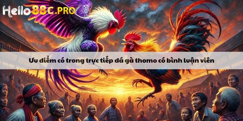 Ưu điểm có trong trực tiếp đá gà thomo có bình luận viên